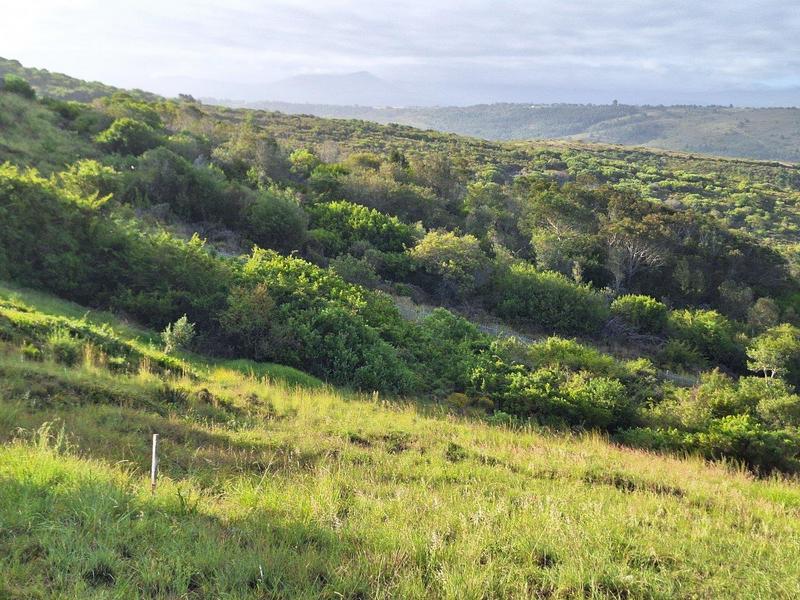 0 Bedroom Property for Sale in Avonddans Western Cape